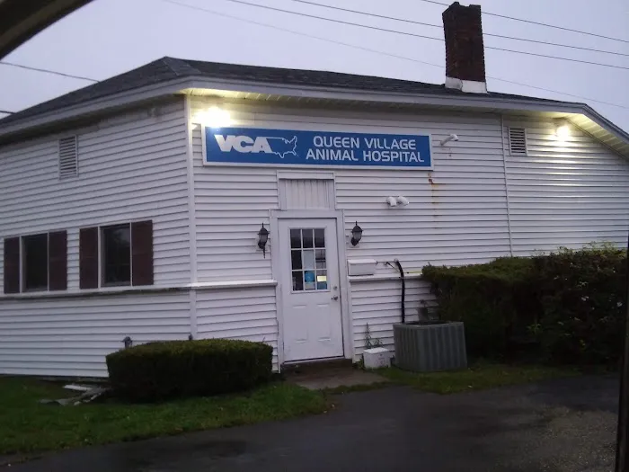 Queen Village Animal Hospital 5