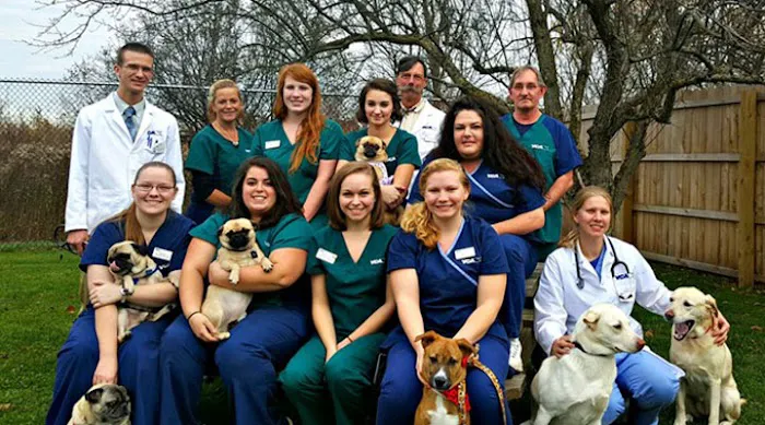 Queen Village Animal Hospital 6