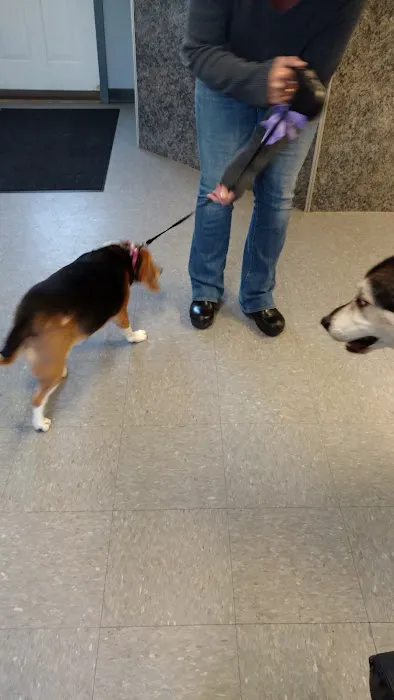 Queen Village Animal Hospital 8