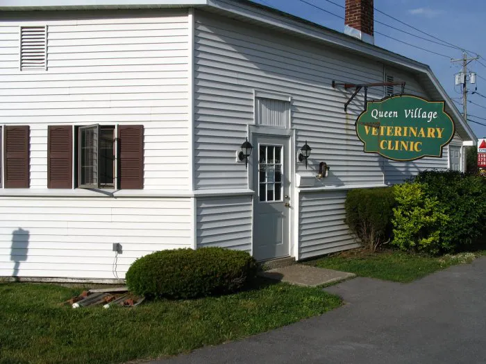 Queen Village Animal Hospital 7