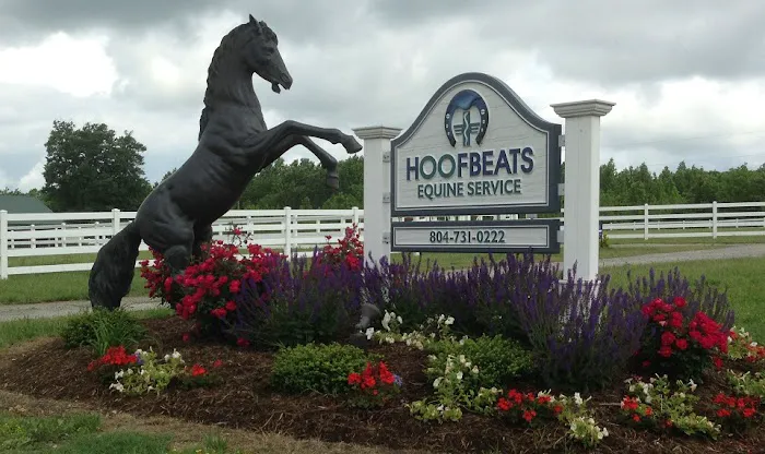 Hoofbeats Equine Service 1