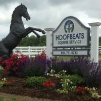 Hoofbeats Equine Service ico