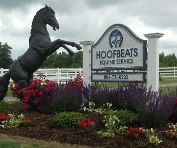 Hoofbeats Equine Service