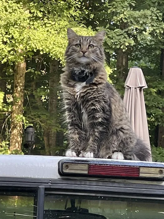 Village Veterinary Service, INC. 3