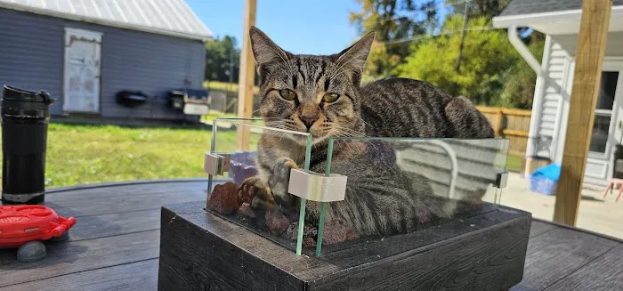 Village Veterinary Service, INC. 5