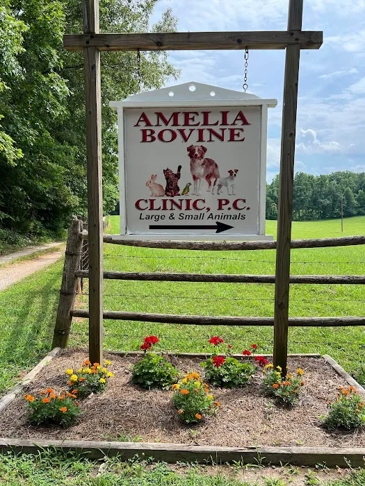 Amelia Bovine Clinic 2