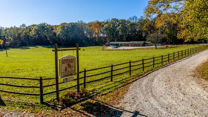 Amelia Bovine Clinic 10