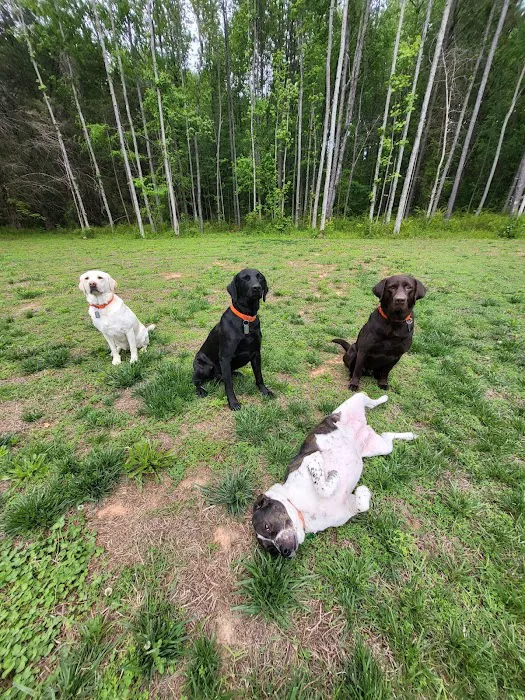 Countryside Veterinary Center 4