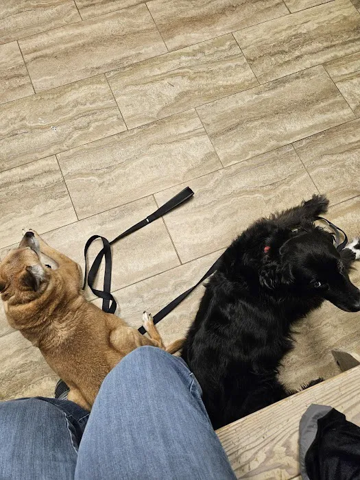 Countryside Veterinary Center 1
