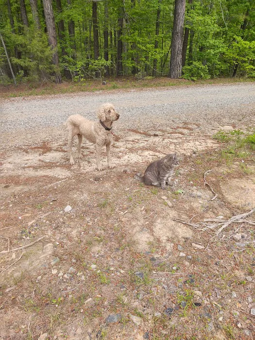 Countryside Veterinary Center 2