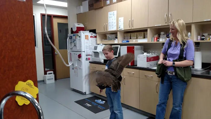 Rocky Point Animal Hospital 1
