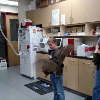 Rocky Point Animal Hospital ico