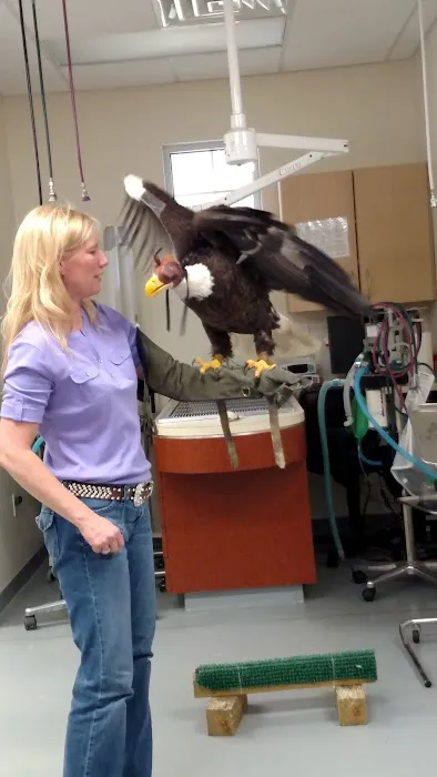 Rocky Point Animal Hospital 2