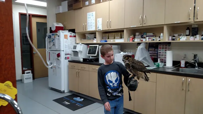 Rocky Point Animal Hospital 4