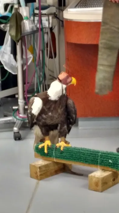 Rocky Point Animal Hospital 3