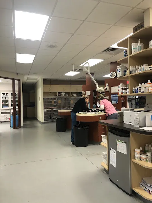 Rocky Point Animal Hospital 8