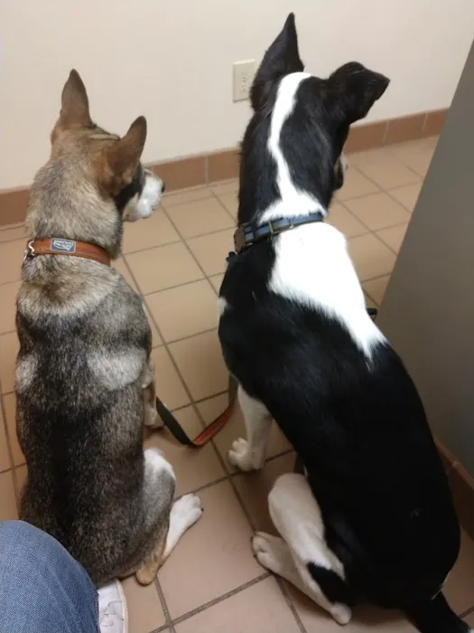 North College Road Animal Hospital 1