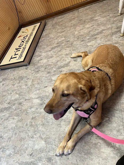 Topsail Animal Hospital 10