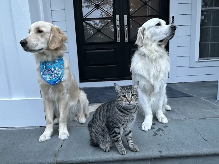 Topsail Animal Hospital 7