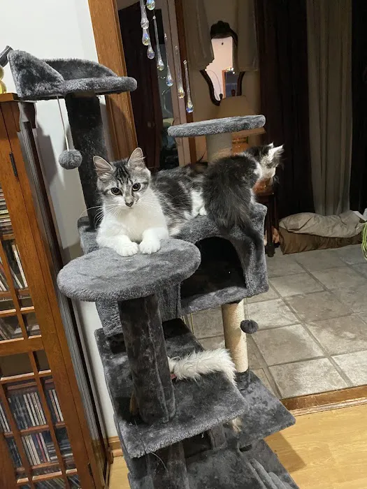 Topsail Animal Hospital 5