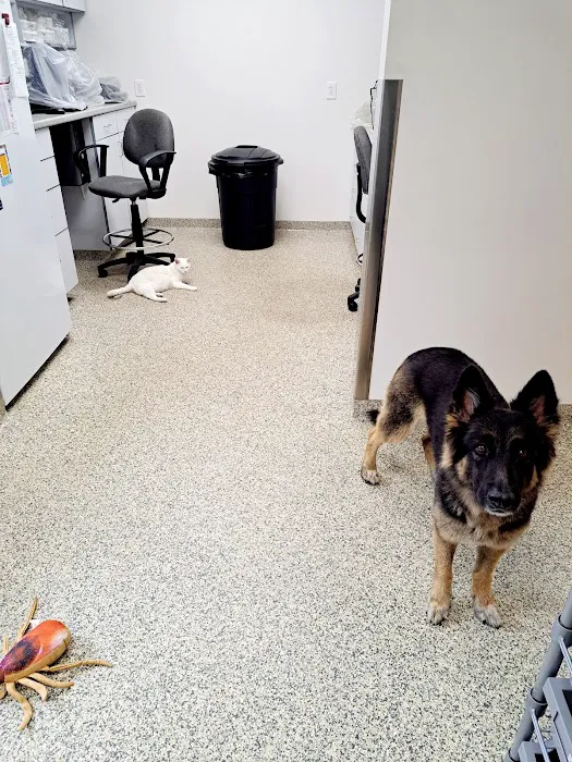 Hampstead Animal Hospital 2