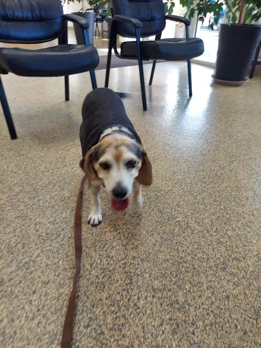 Hampstead Animal Hospital 8