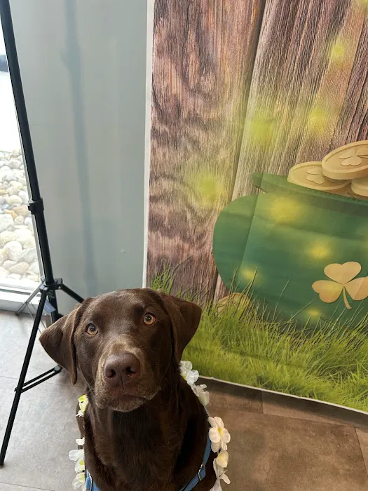 Pet Health of Hampstead 1