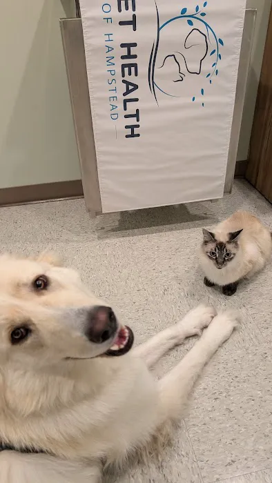 Pet Health of Hampstead 5
