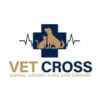 Vet Cross ico