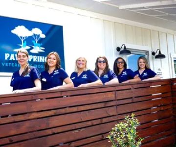 Paw Springs Veterinary Hospital - Scotts Hill