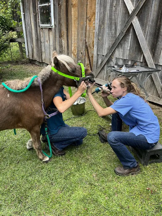 Reagan Equine 2
