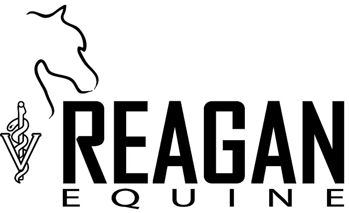 Reagan Equine 7