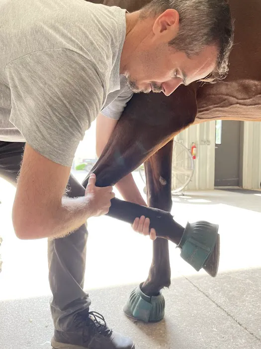 Reagan Equine 5