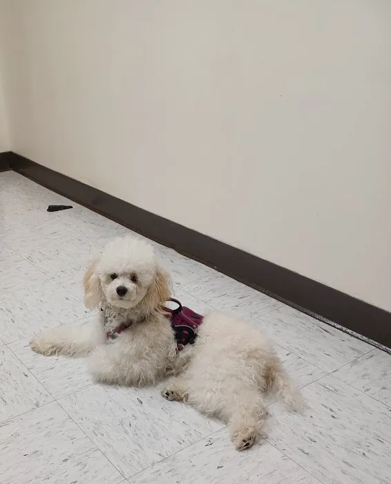 Camp Lejeune Veterinary Clinic 3