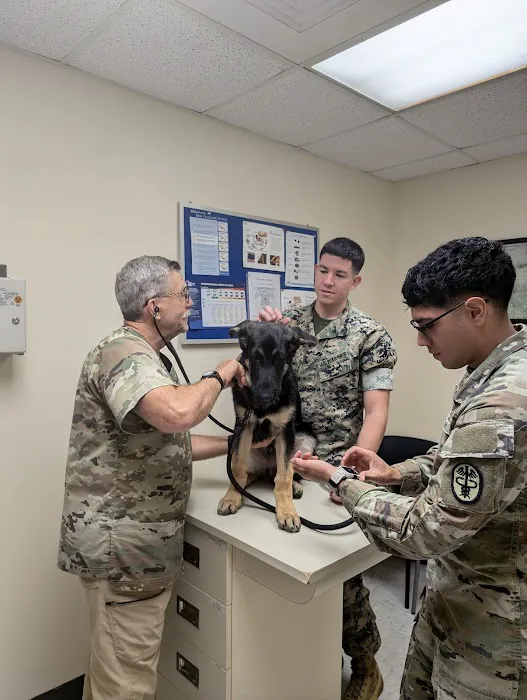 Camp Lejeune Veterinary Clinic 8