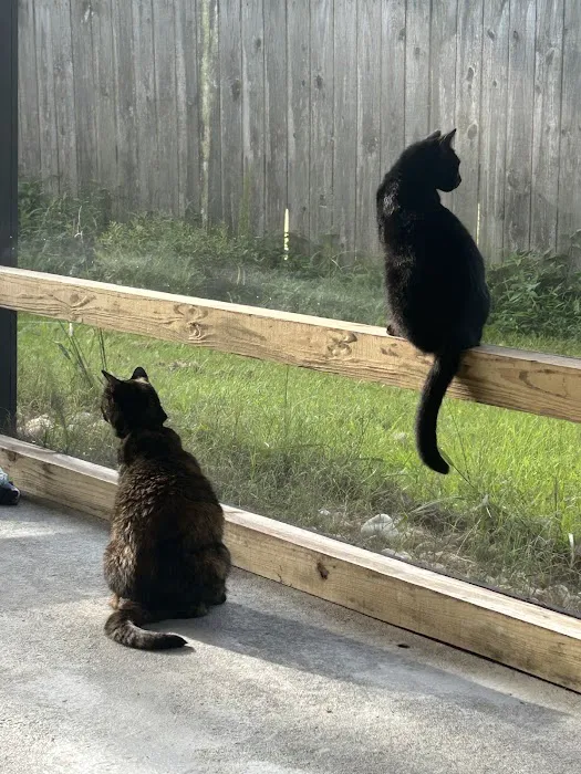 Camp Lejeune Veterinary Clinic 6
