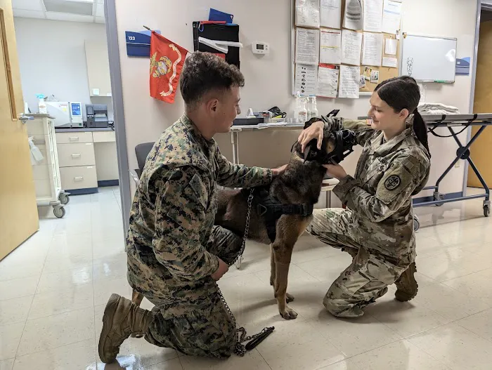 Camp Lejeune Veterinary Clinic 7