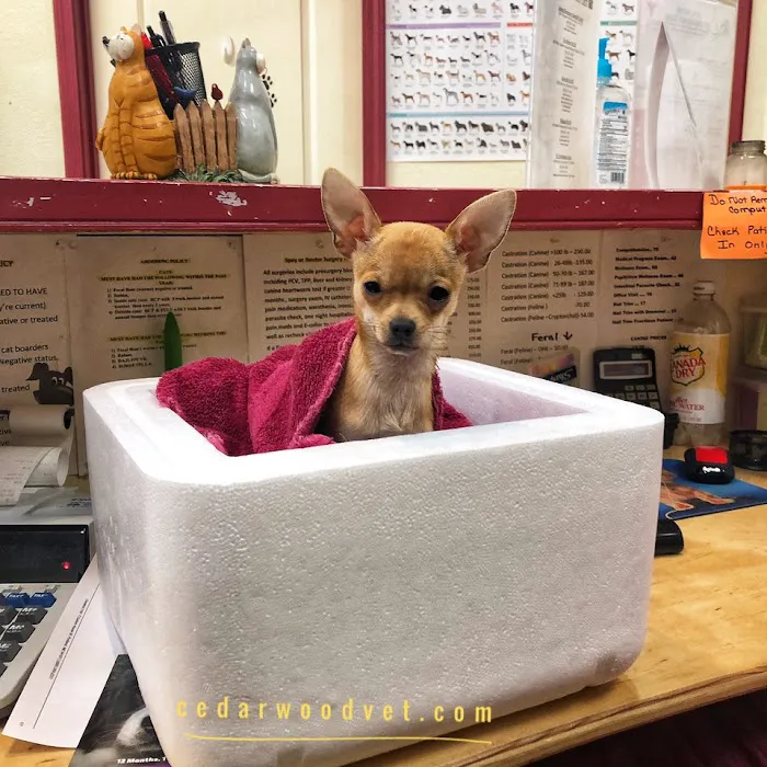 Cedarwood Veterinary Hospital 2
