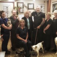 Cedarwood Veterinary Hospital ico
