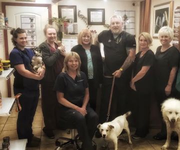 Cedarwood Veterinary Hospital