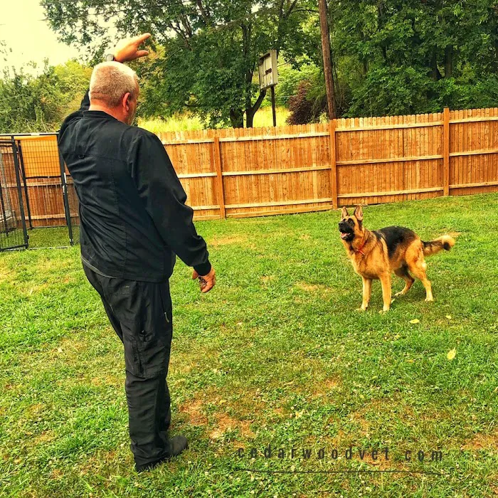 Cedarwood Veterinary Hospital 10