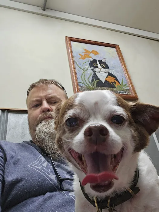 Animal Clinic of Pigeon Forge 1