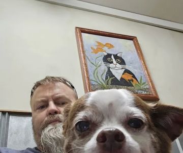 Animal Clinic of Pigeon Forge