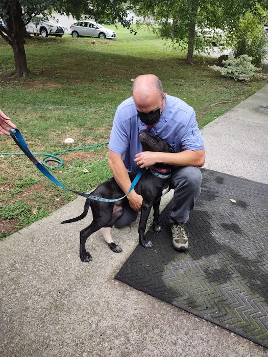 Animal Clinic of Pigeon Forge 6
