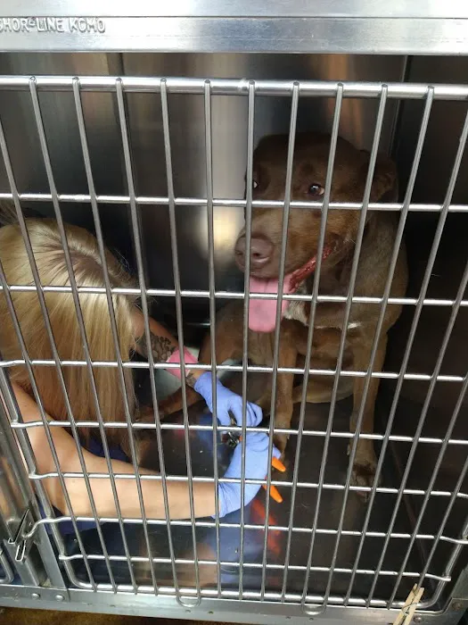 My Pet's Animal Hospital 4