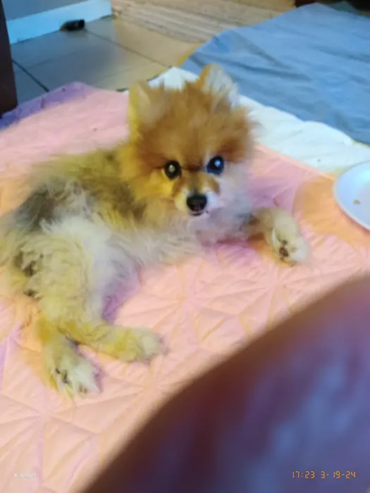 Animal Medical Center 5
