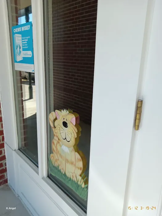 Animal Medical Center 4