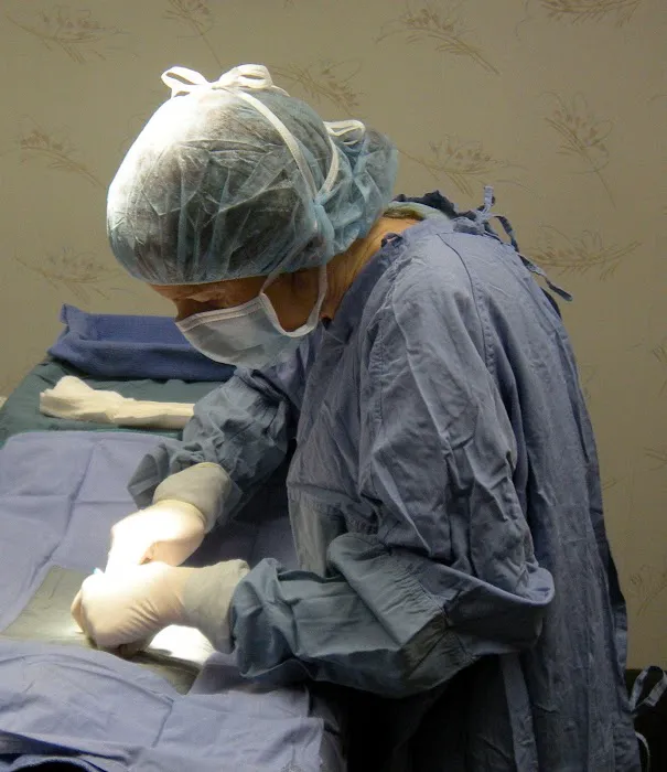 Kingston Animal Hospital, PC 7