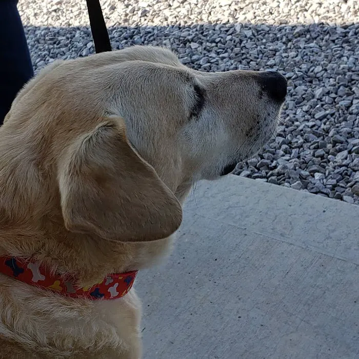 Morgan County Animal Hospital 8