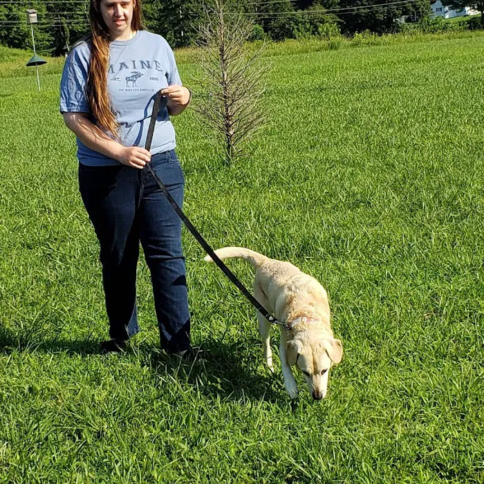 Morgan County Animal Hospital 9